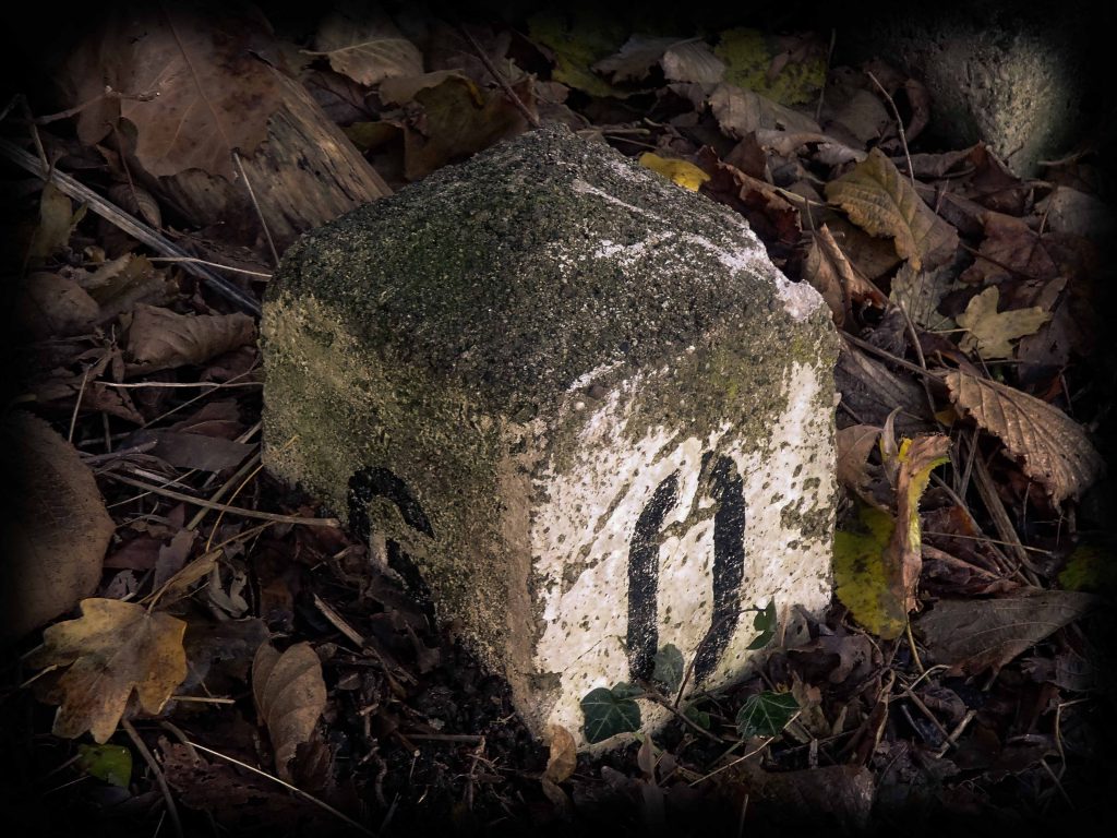 an stone marking distances amid leaves