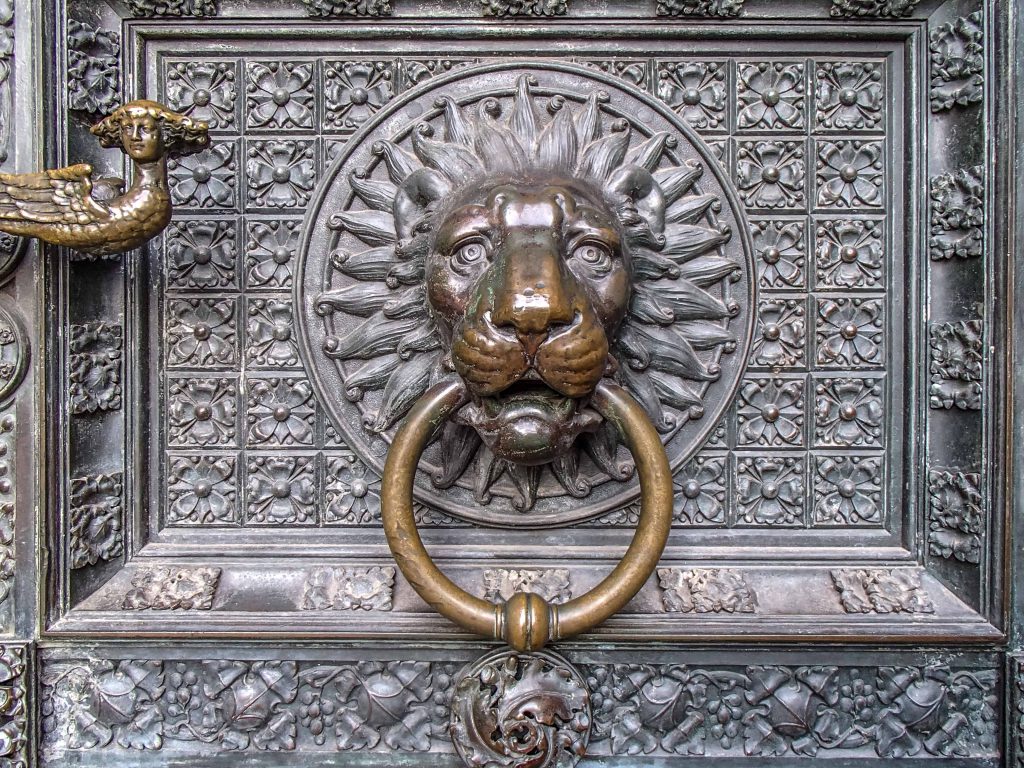 Lion brass door handle